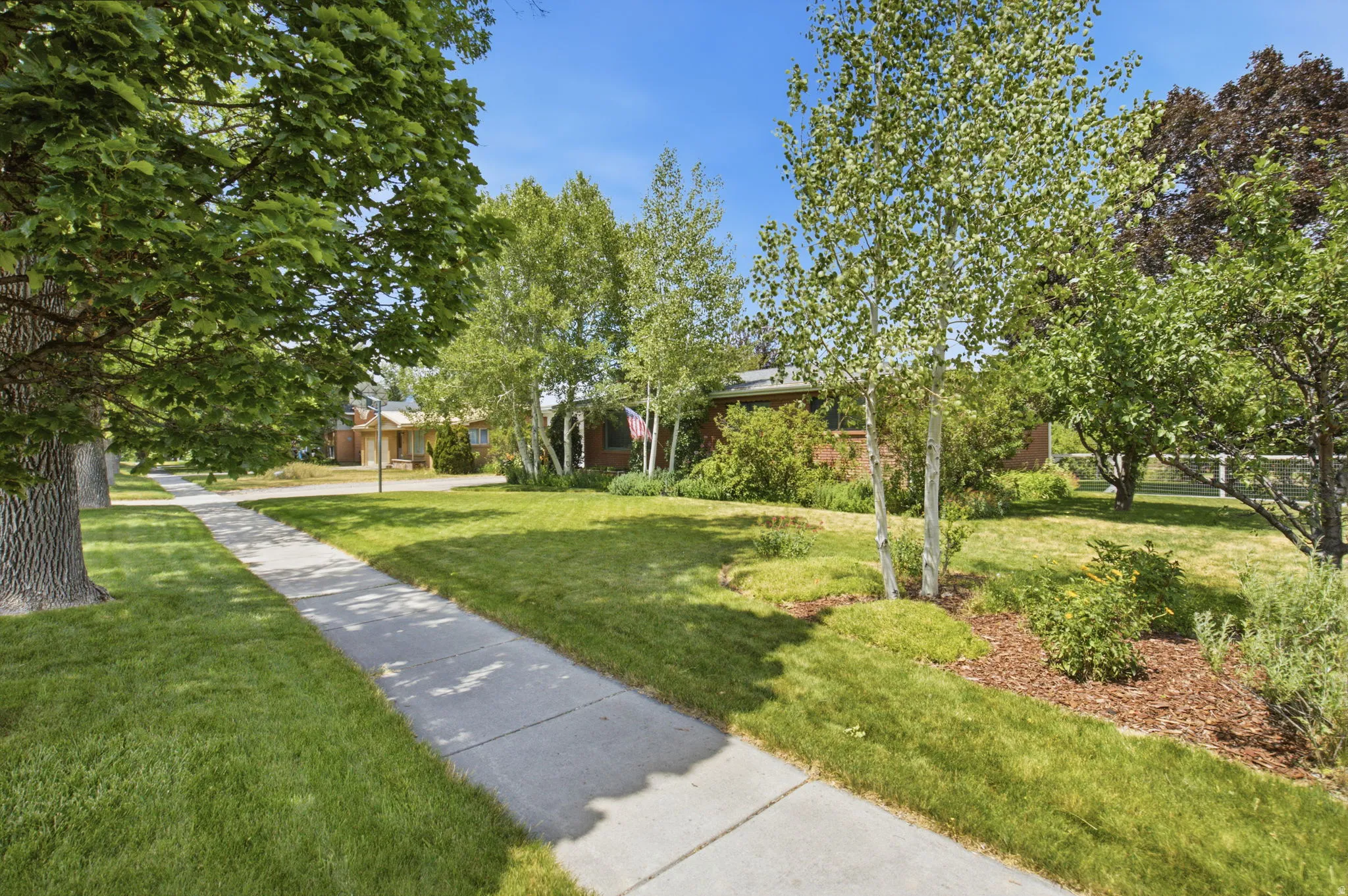Expansive front lawn with mature shade trees, a concrete sidewalk, and landscaped beds featuring birch trees and shrubs