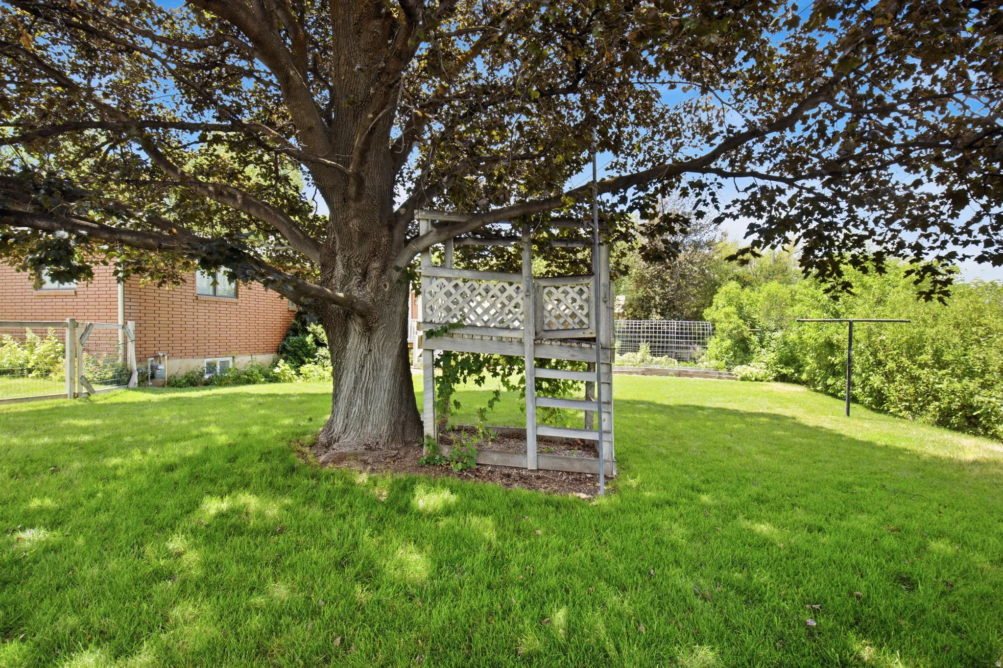 Expansive backyard featuring a mature shade tree, manicured lawn, and a multi-level wooden play structure