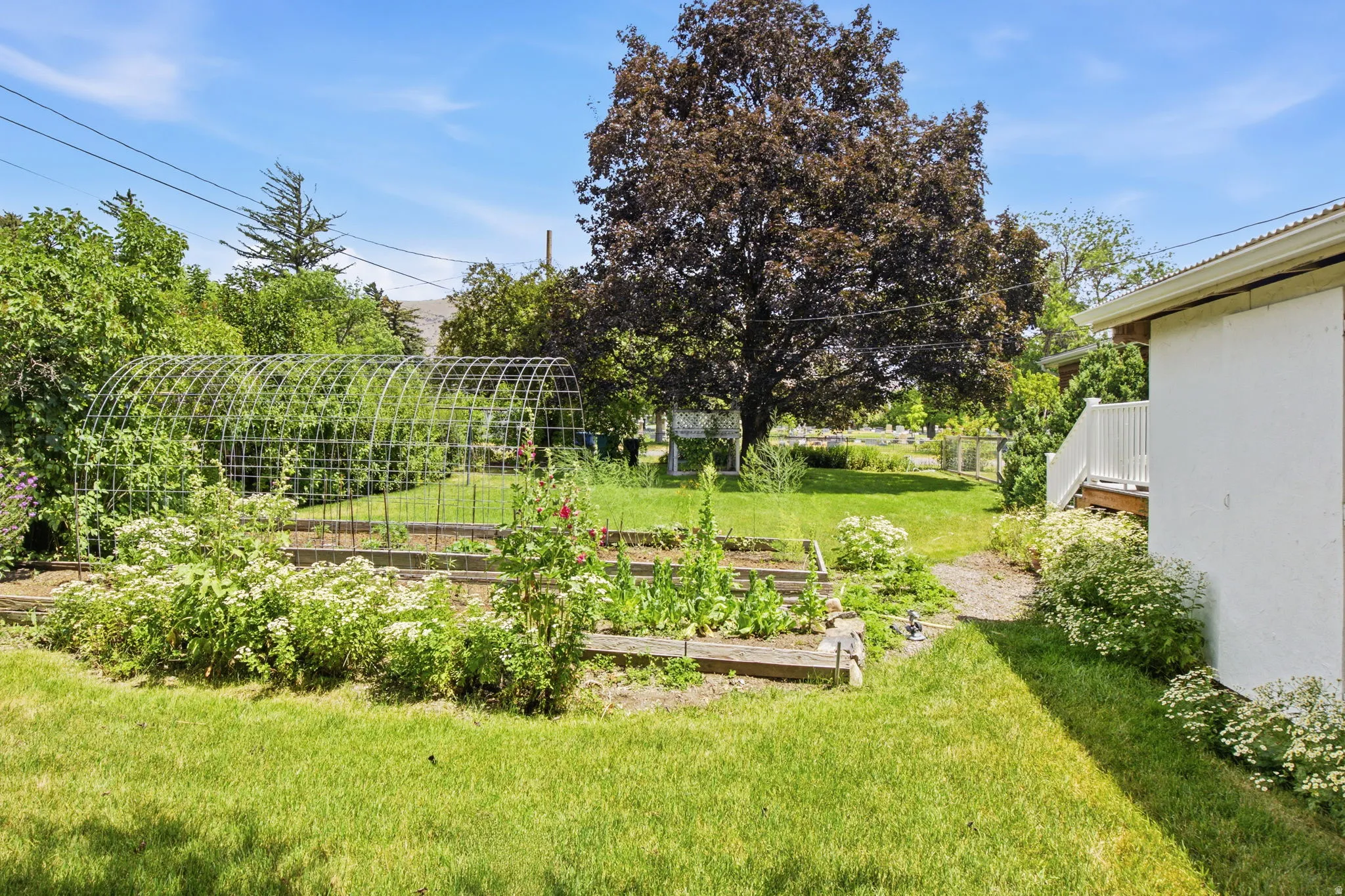 Expansive yard featuring a large garden area with raised beds and a metal arch trellis