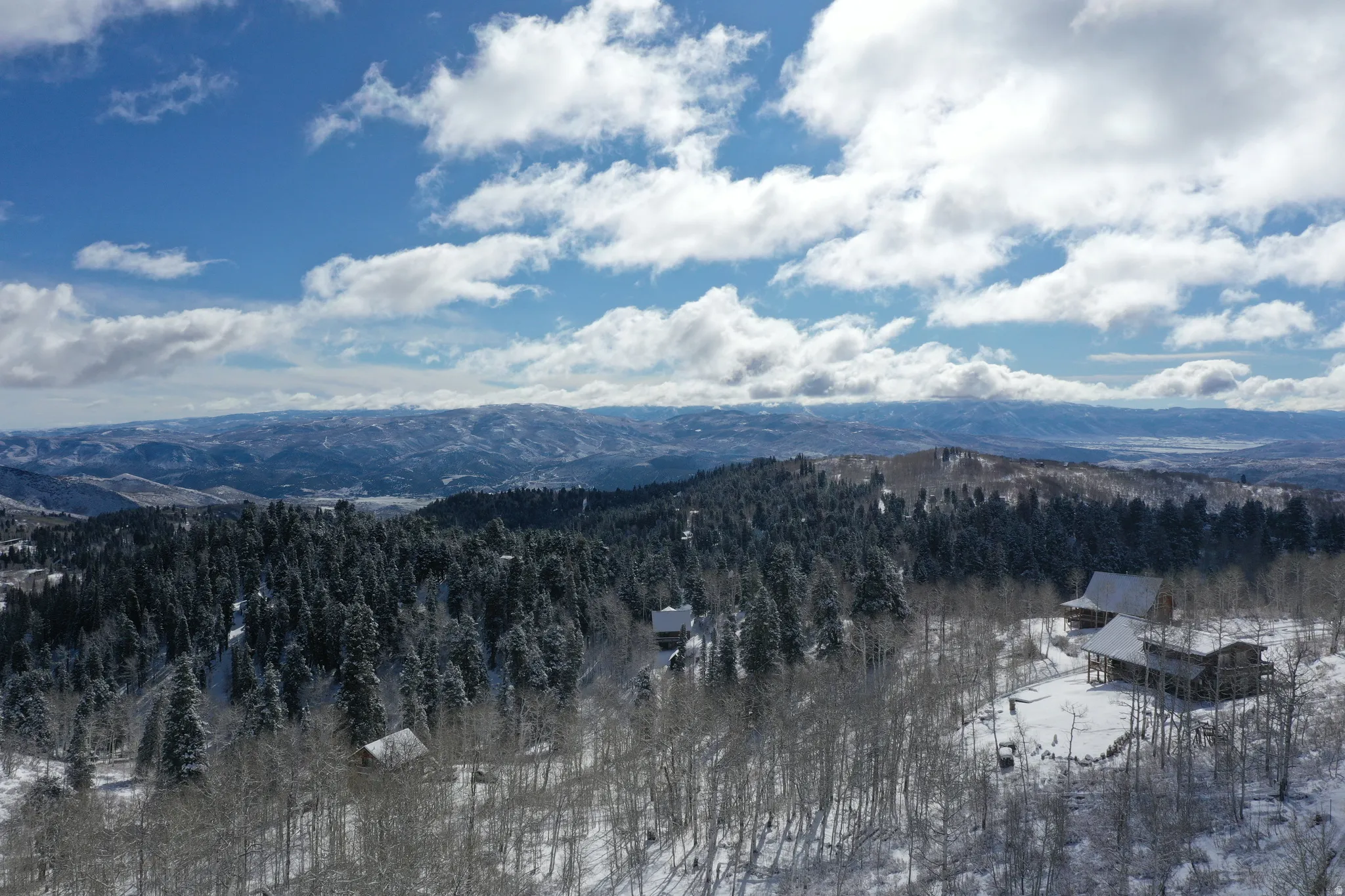 Expansive mountain landscape featuring dense evergreen forests and snow-covered terrain