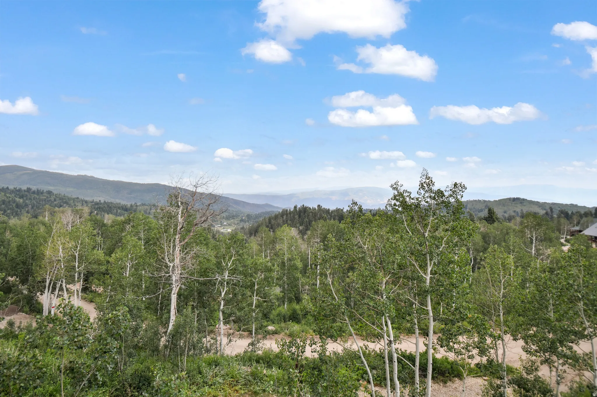 Expansive mountain landscape featuring a dense forest of deciduous trees