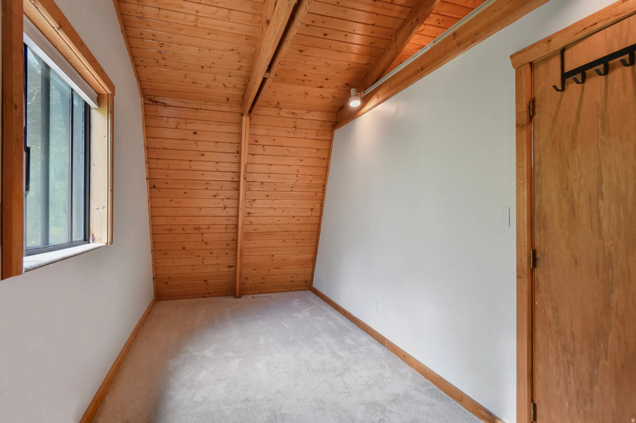Carpeted room featuring an angled wood-paneled ceiling, a single window, track lighting, and a wood-panel door with a coat rack