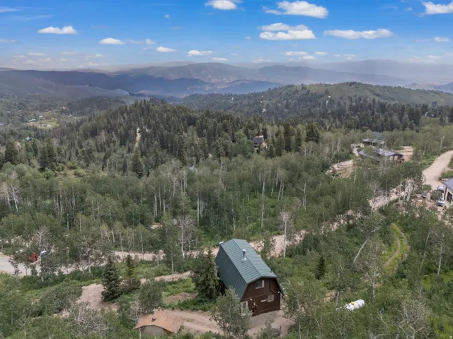Rustic mountain cabin with a green metal roof and brown siding, surrounded by mature trees