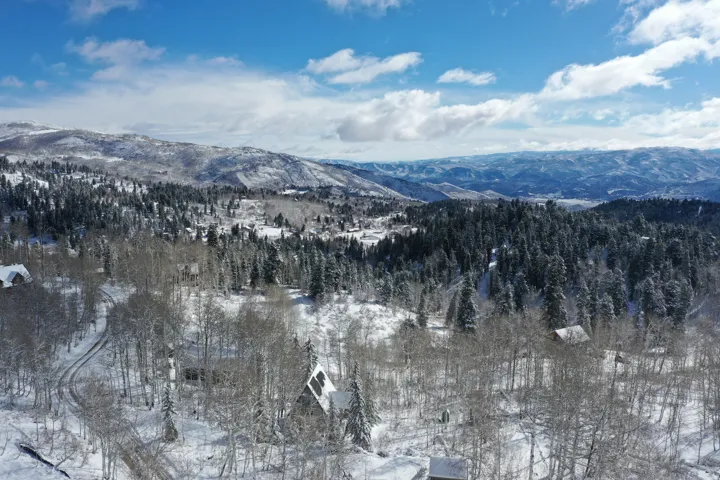 Snow-covered mountain landscape featuring dense evergreen and deciduous trees