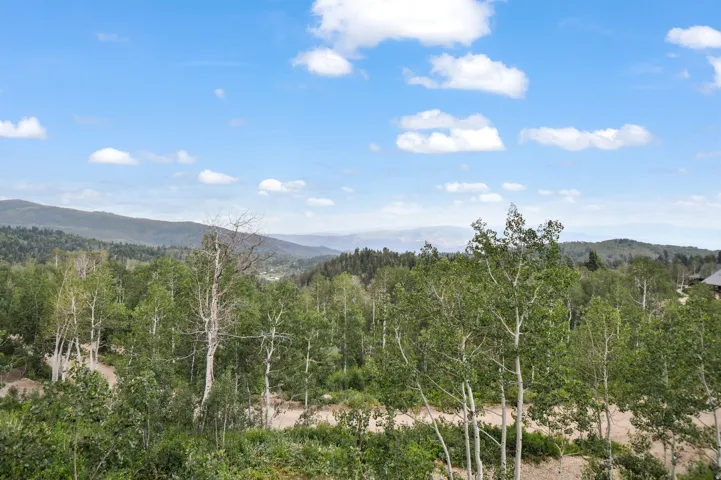 Expansive mountain landscape featuring a dense forest of deciduous trees