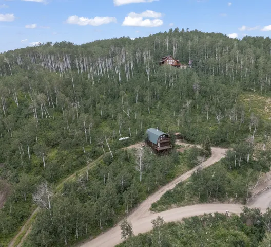 Wooded hillside property featuring two distinct structures and a winding dirt road