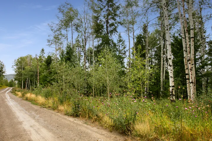 Unit 20-c, Spanish Fork, Utah 84660