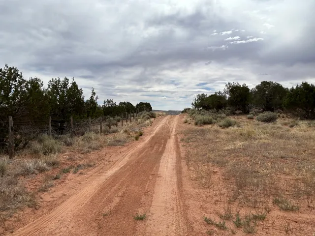 Road looking back East