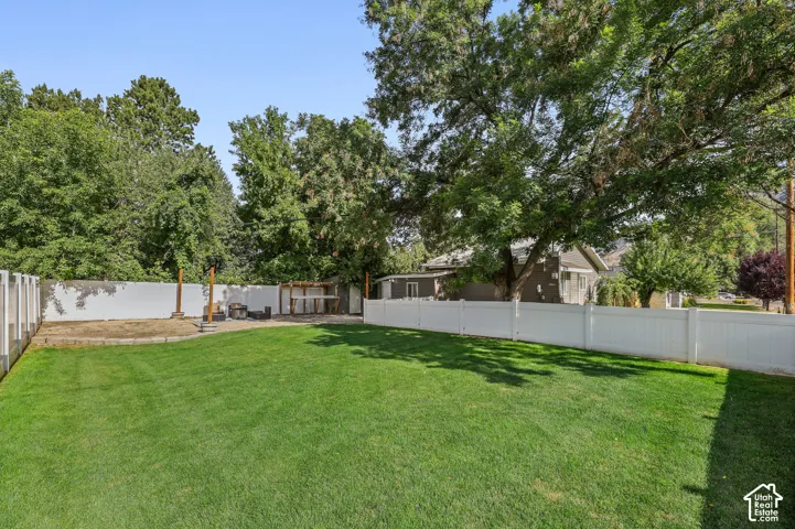 Grass area