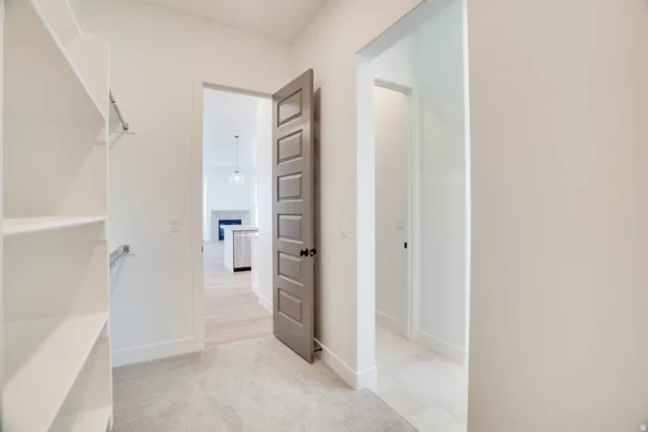 Walk-in closet featuring built-in shelving, hanging rods, and carpet flooring