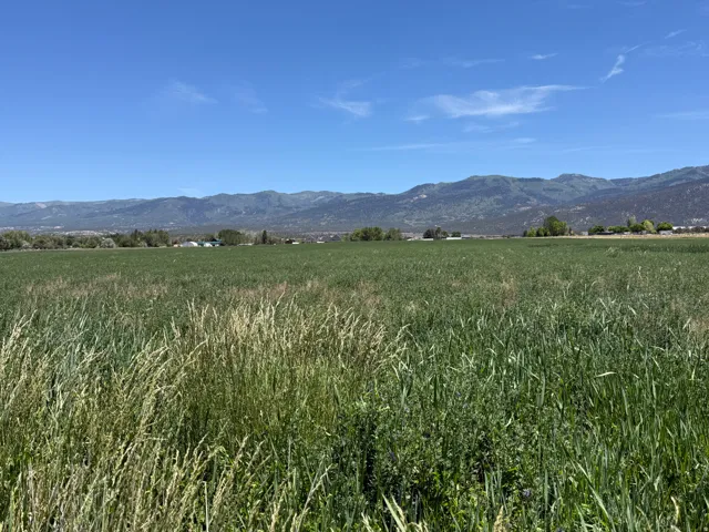 2 1100 S, Spring City, Utah 84662