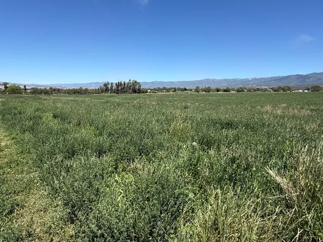 Expansive open acreage featuring vibrant green vegetation, distant mountain ranges, and a clear blue sky