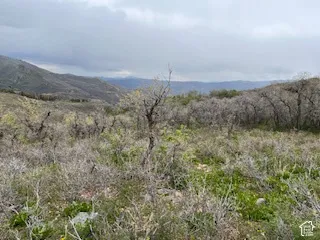 Expansive natural landscape featuring varied terrain and distant mountain ranges