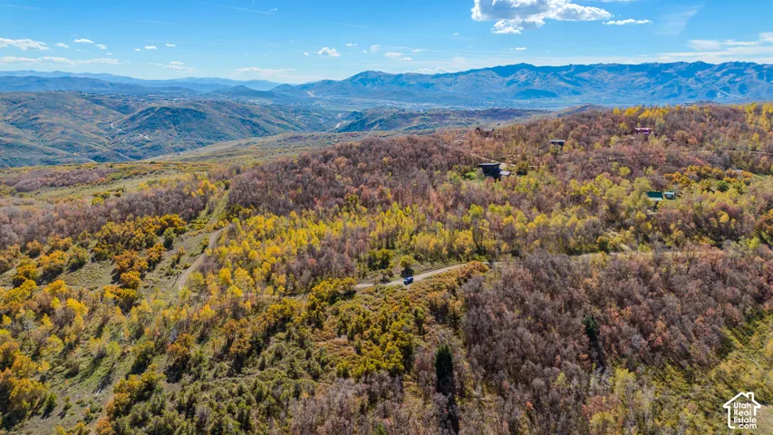 Mountainous terrain with natural tree coverage and a partially visible unpaved road