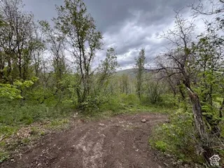 Wooded lot featuring mature trees and natural vegetation