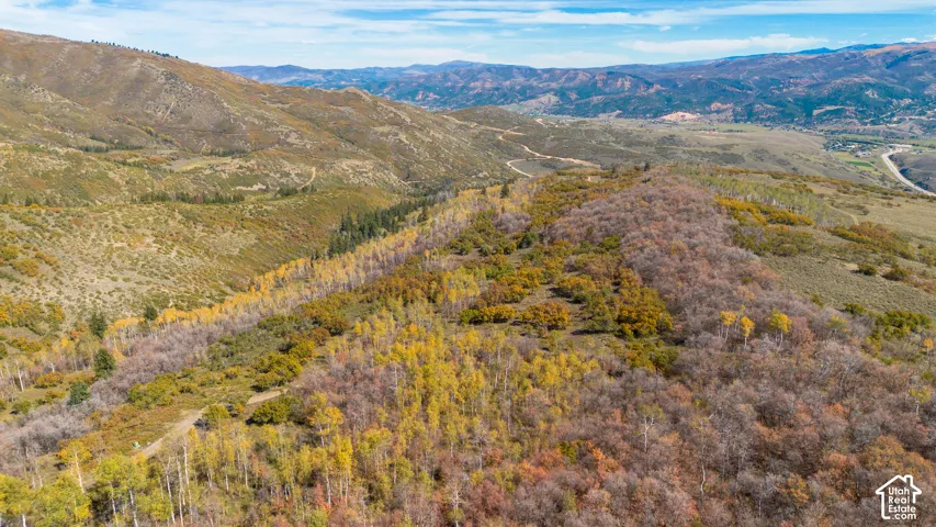 Expansive mountainous terrain featuring diverse foliage and a distant road