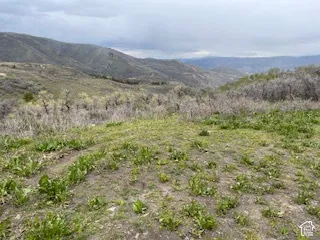 Expansive natural landscape with rolling hills and varied vegetation