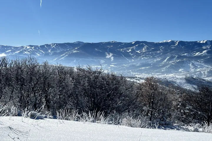 Snow-covered mountain range featuring distant ski slopes, a valley with scattered structures, and a foreground of frosted trees and snow-dusted ground