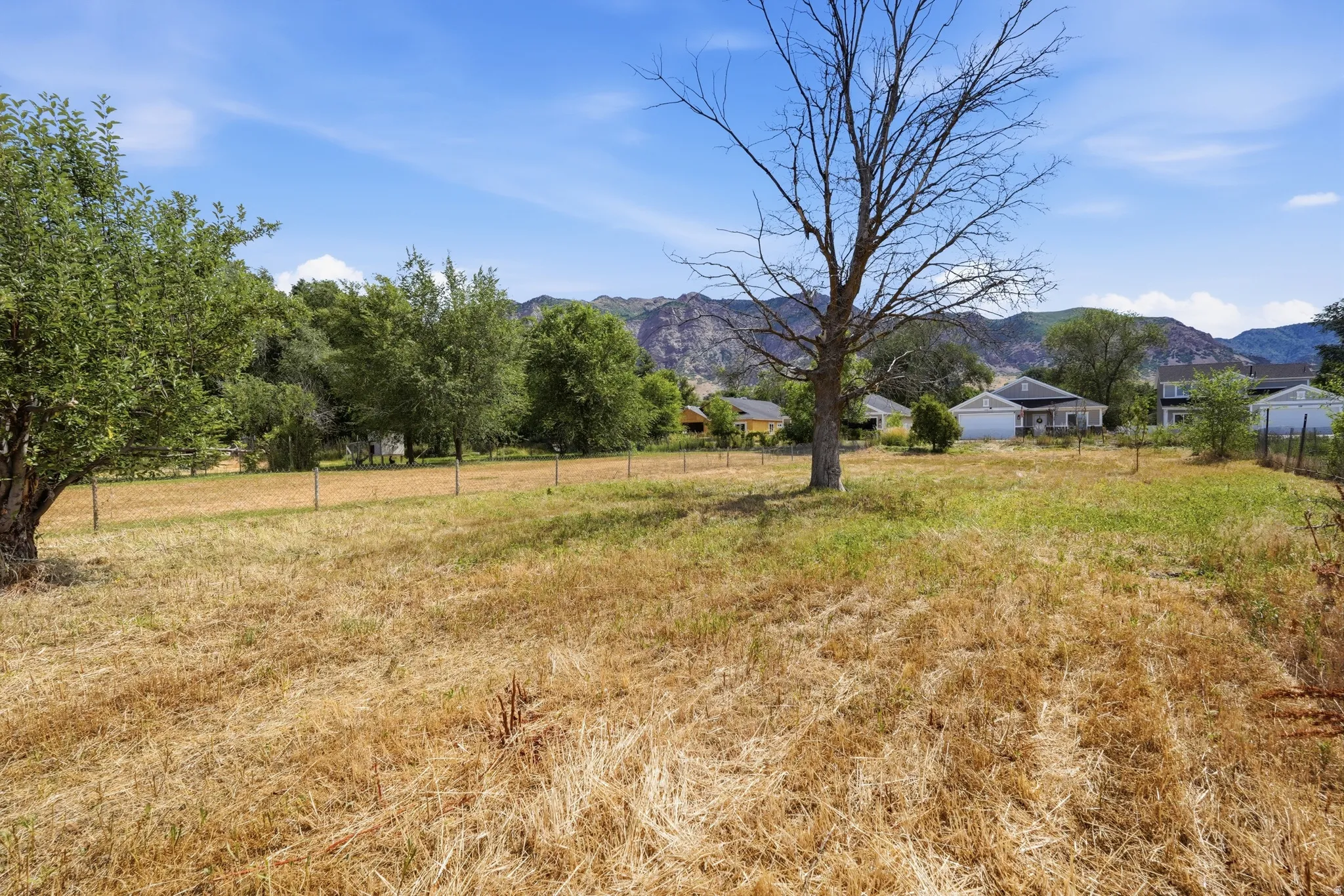 Expansive lot featuring a varied landscape with mature trees and a distant mountain backdrop