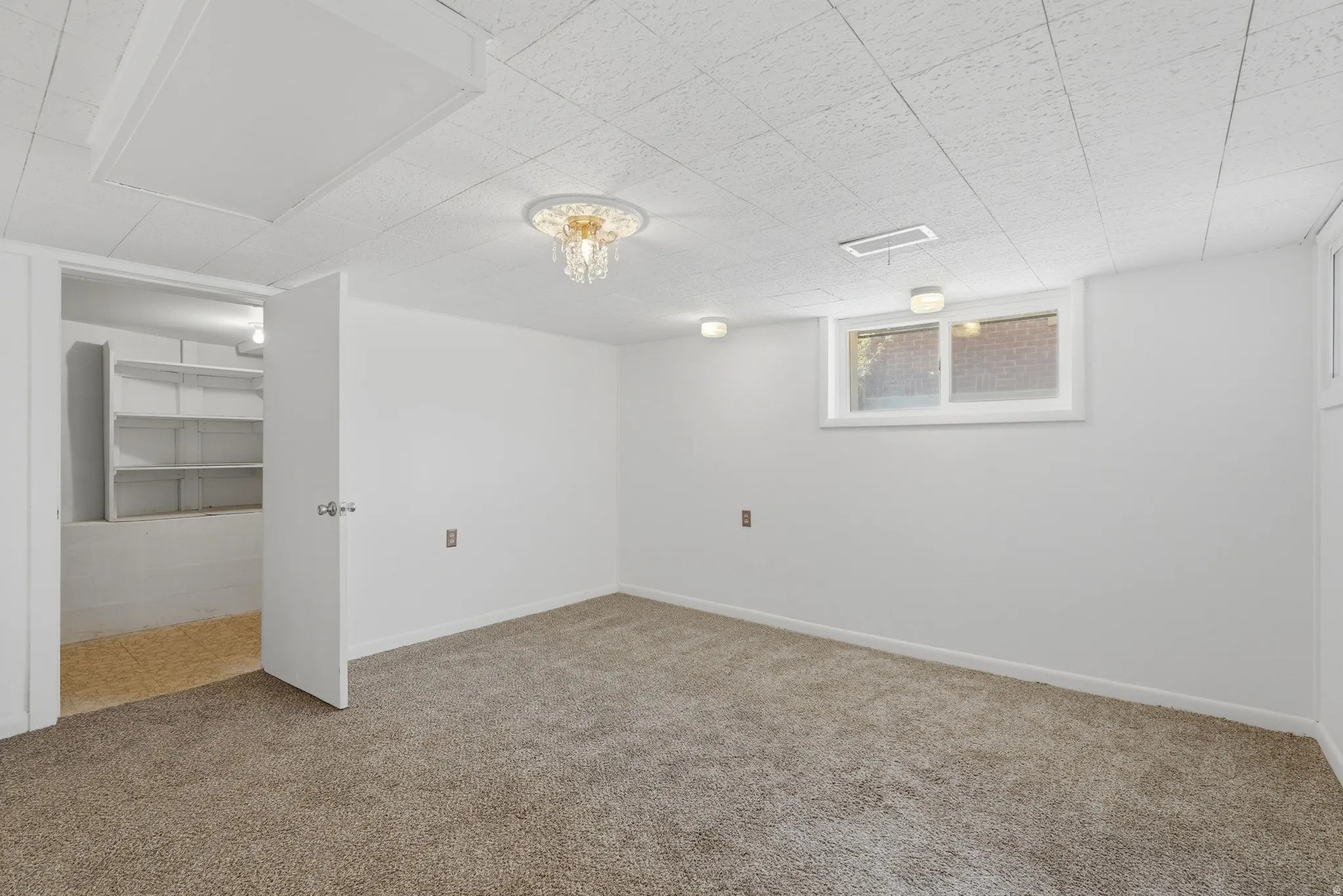 Spacious room featuring neutral carpeting, white walls, a drop ceiling, and a prominent window