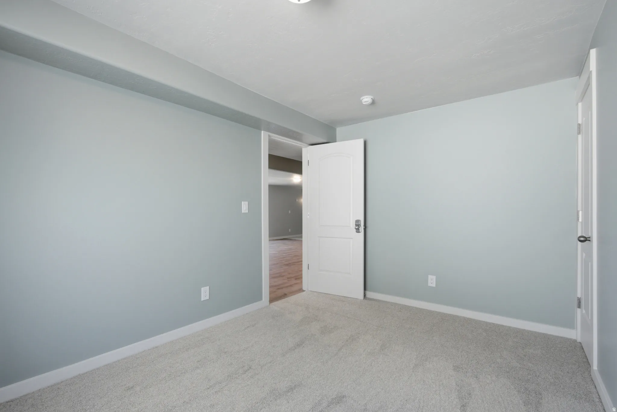 Interior room featuring light gray wall paint, light gray carpet, white baseboards, and white trim around doorways