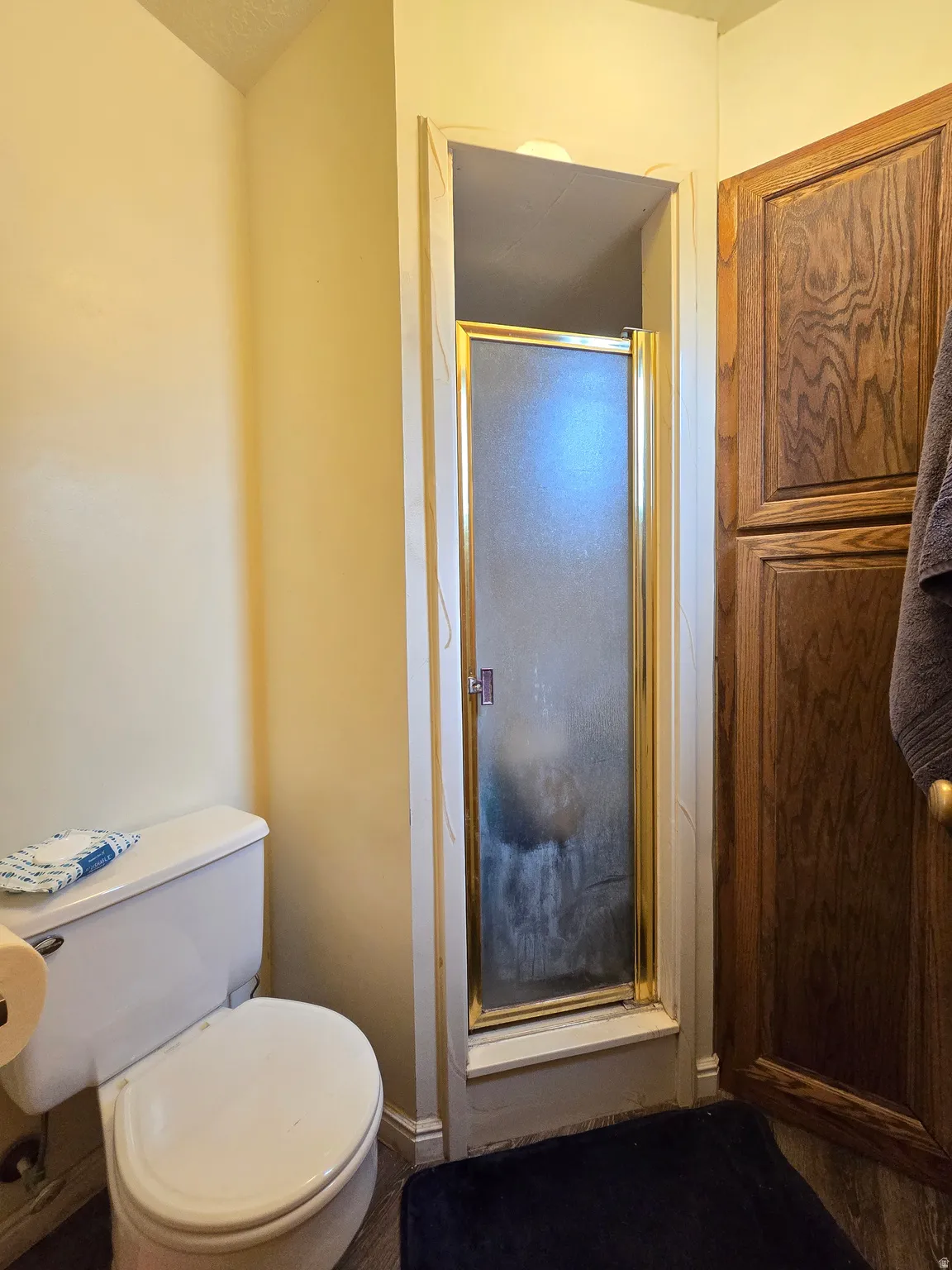 Compact bathroom featuring a shower with a gold-toned framed frosted glass door, a white toilet, and wood-panel cabinetry