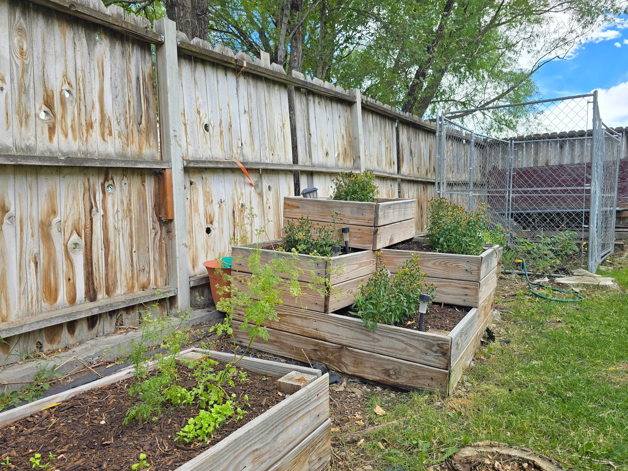Tiered wooden garden beds