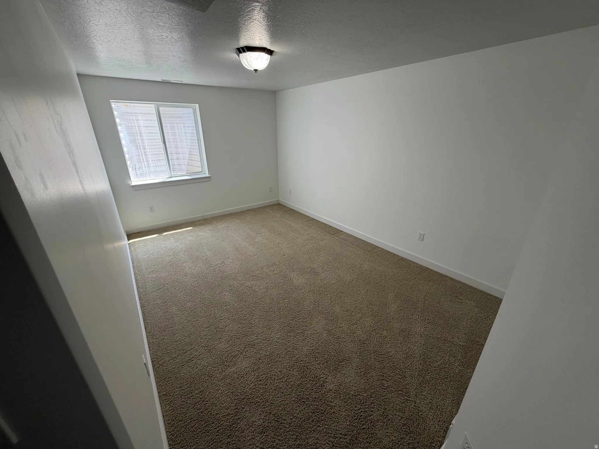 Carpeted room featuring a double window with blinds, white walls, white trim, and a ceiling-mounted light fixture