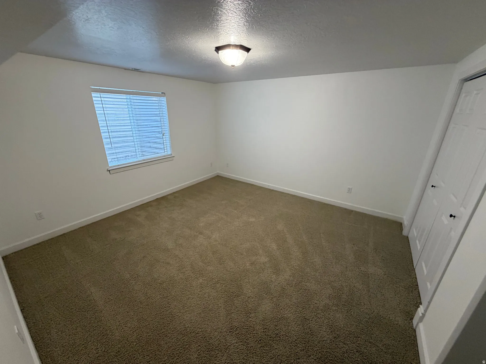 Carpeted room featuring a window with blinds, a ceiling-mounted light fixture, and a bi-fold closet door with black hardware