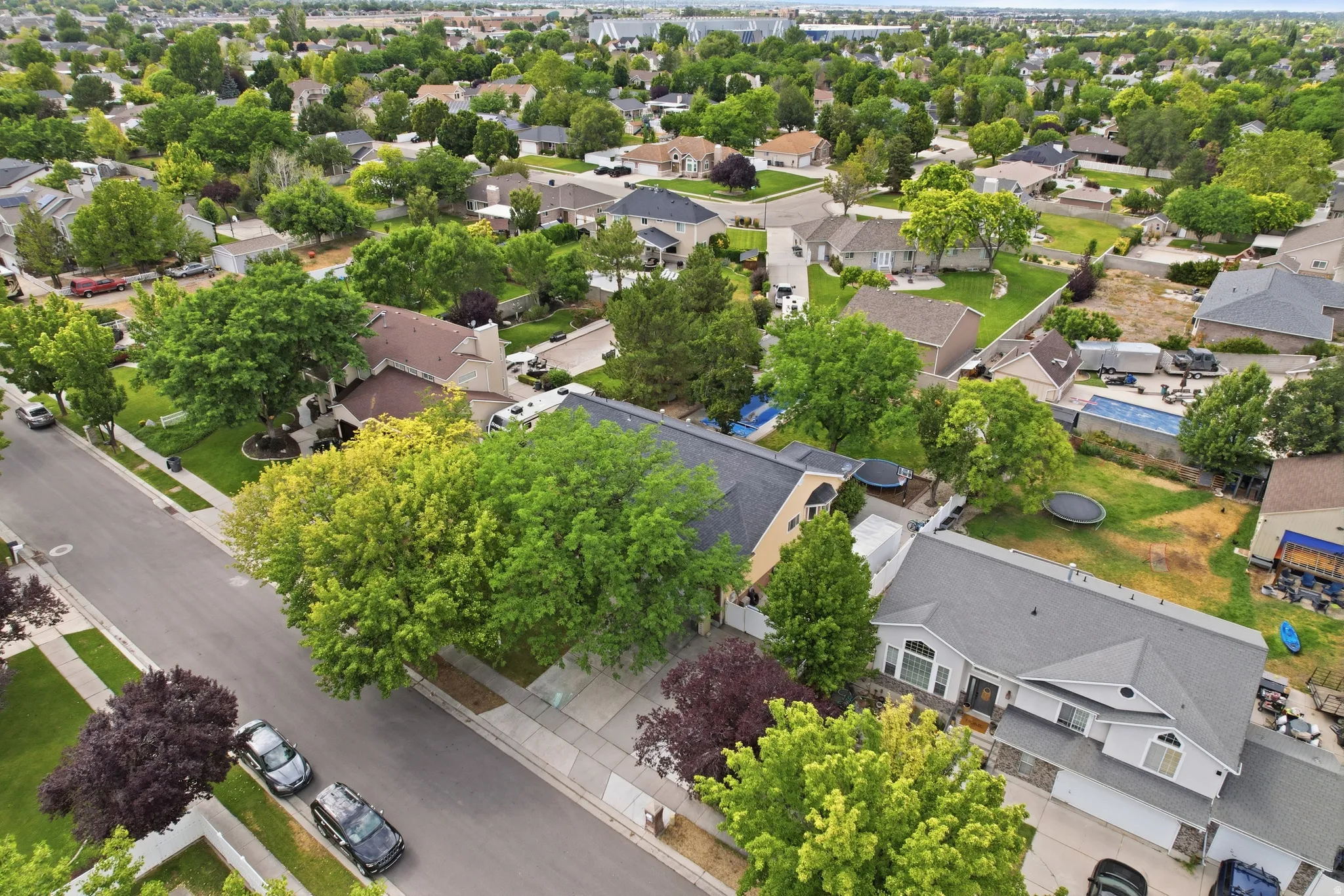 Residential neighborhood featuring mature trees and paved streets