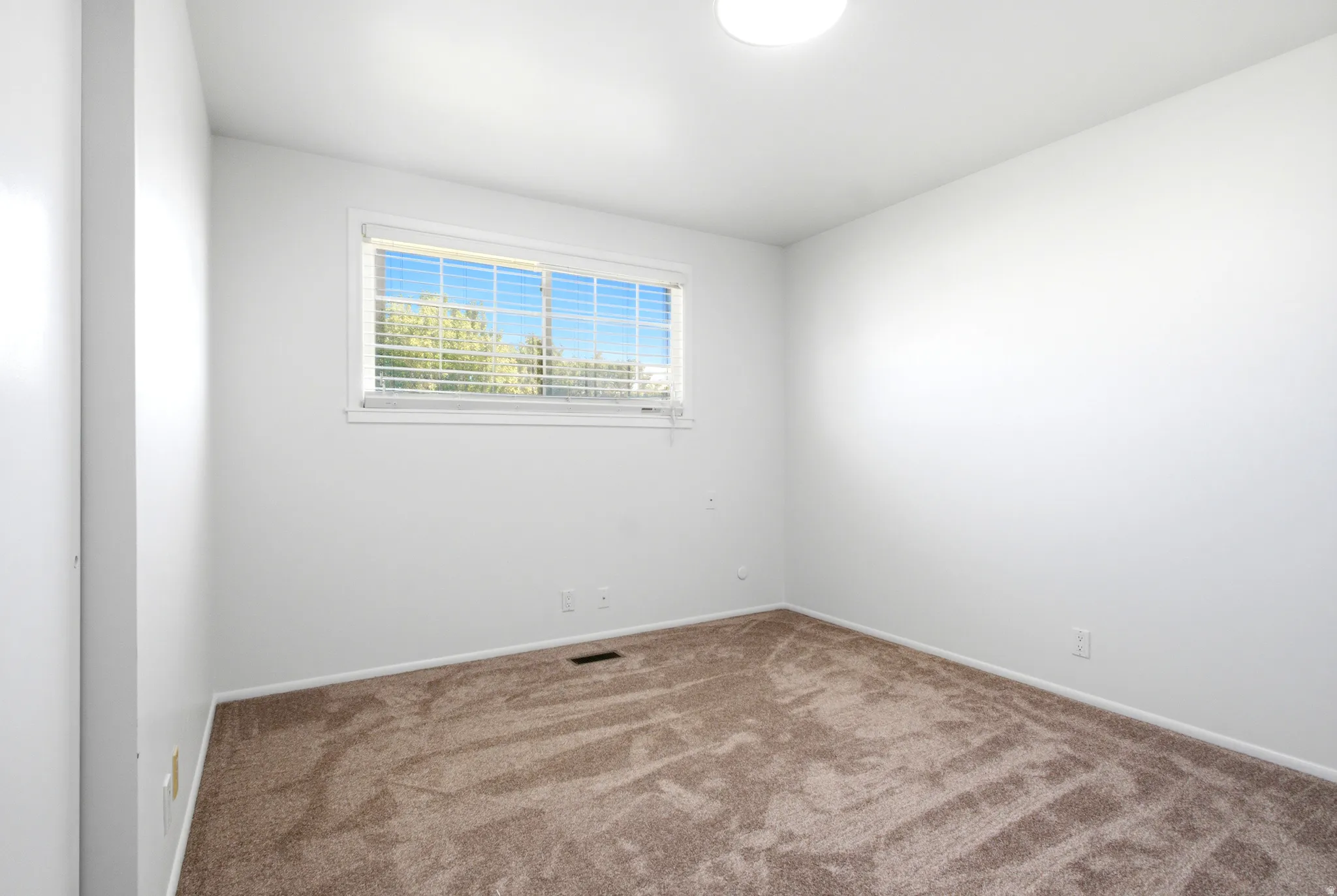 Bright interior space featuring a window with horizontal blinds, neutral wall paint, and brown carpet flooring