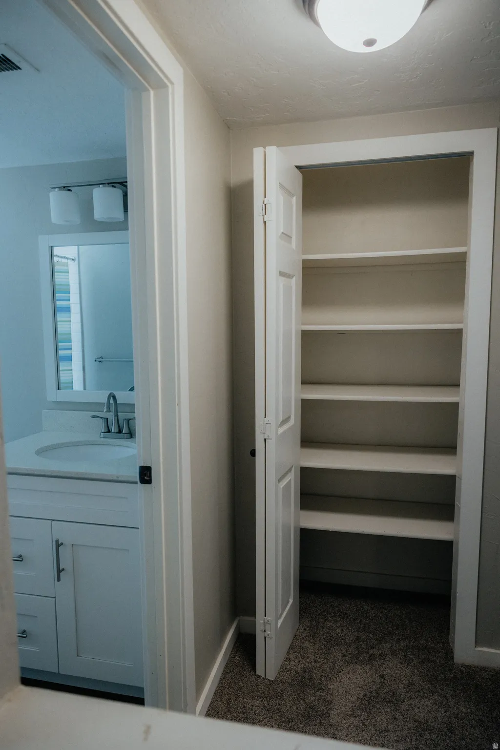 This downstairs bath is convenient and private.  It has a vestibule outside of it to add privacy and character.