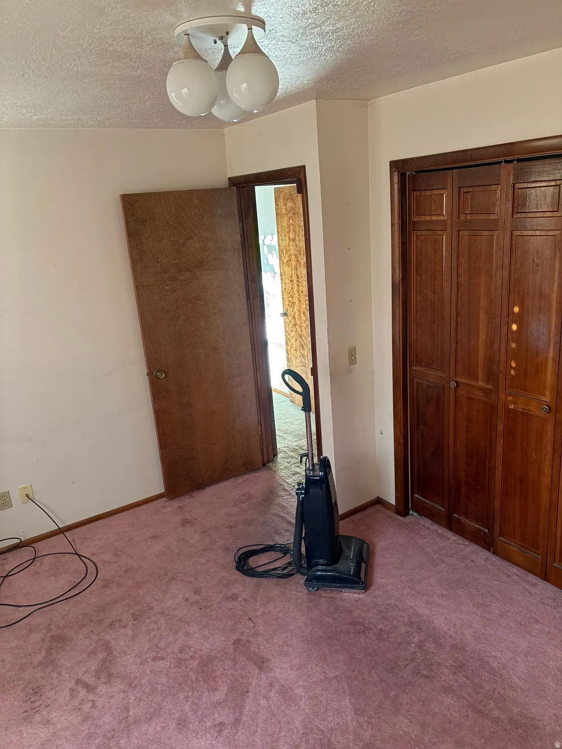 Carpeted flooring, wood-finish doors, and a ceiling-mounted light fixture