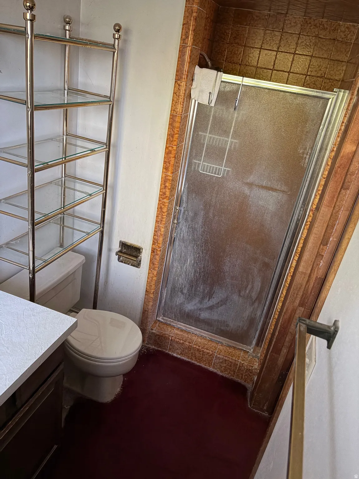 Shower with glass enclosure and tiled surround