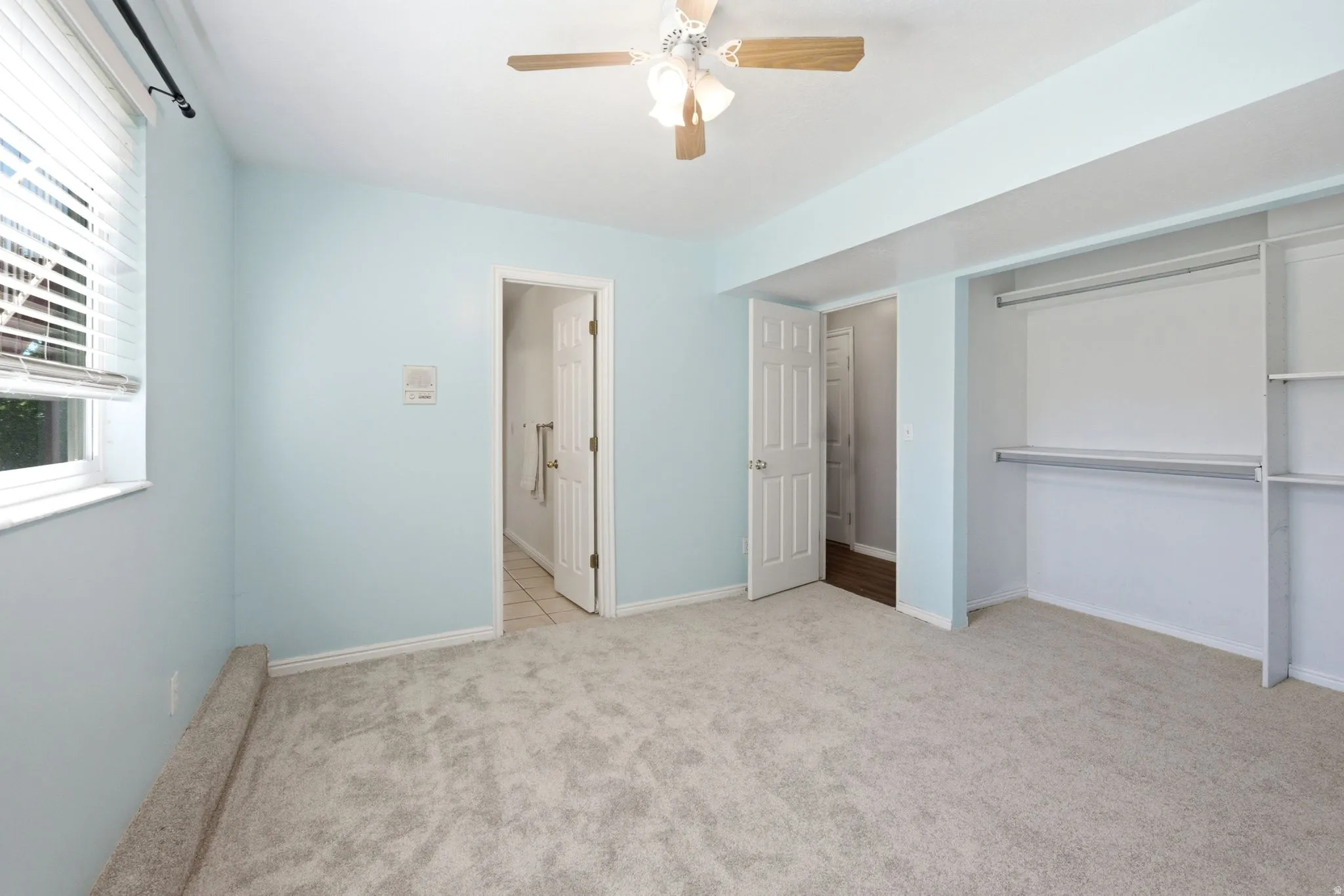 Carpeted room with light blue walls featuring a window with white blinds, a ceiling fan, and an open closet with shelving and hanging rods