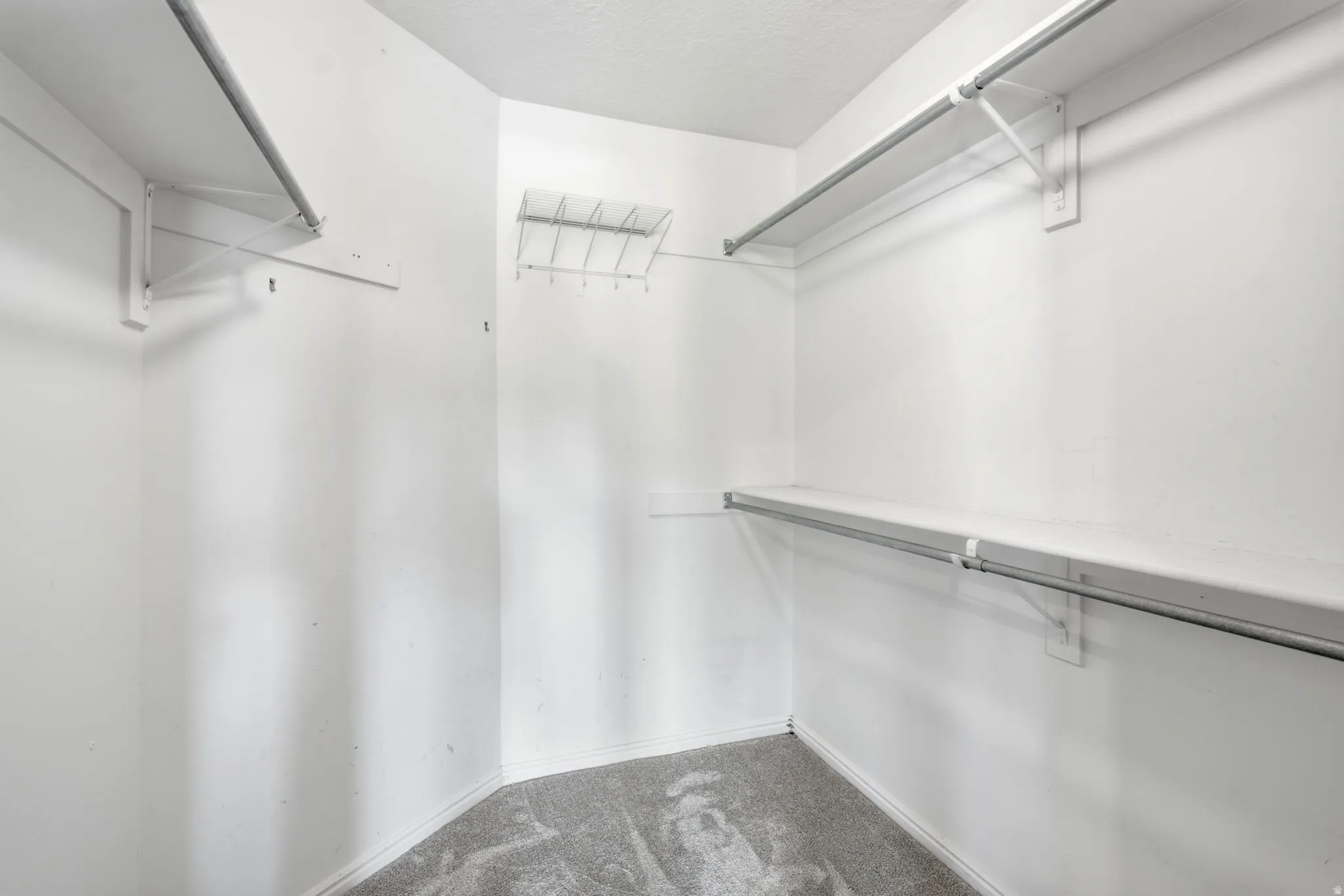 Walk-in closet featuring built-in shelving, chrome hanging rods, and neutral-toned carpeting