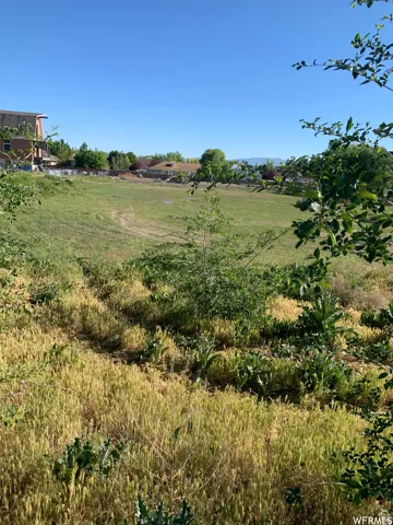 Expansive land parcel featuring a gentle slope, mature trees bordering the property, and distant mountain range