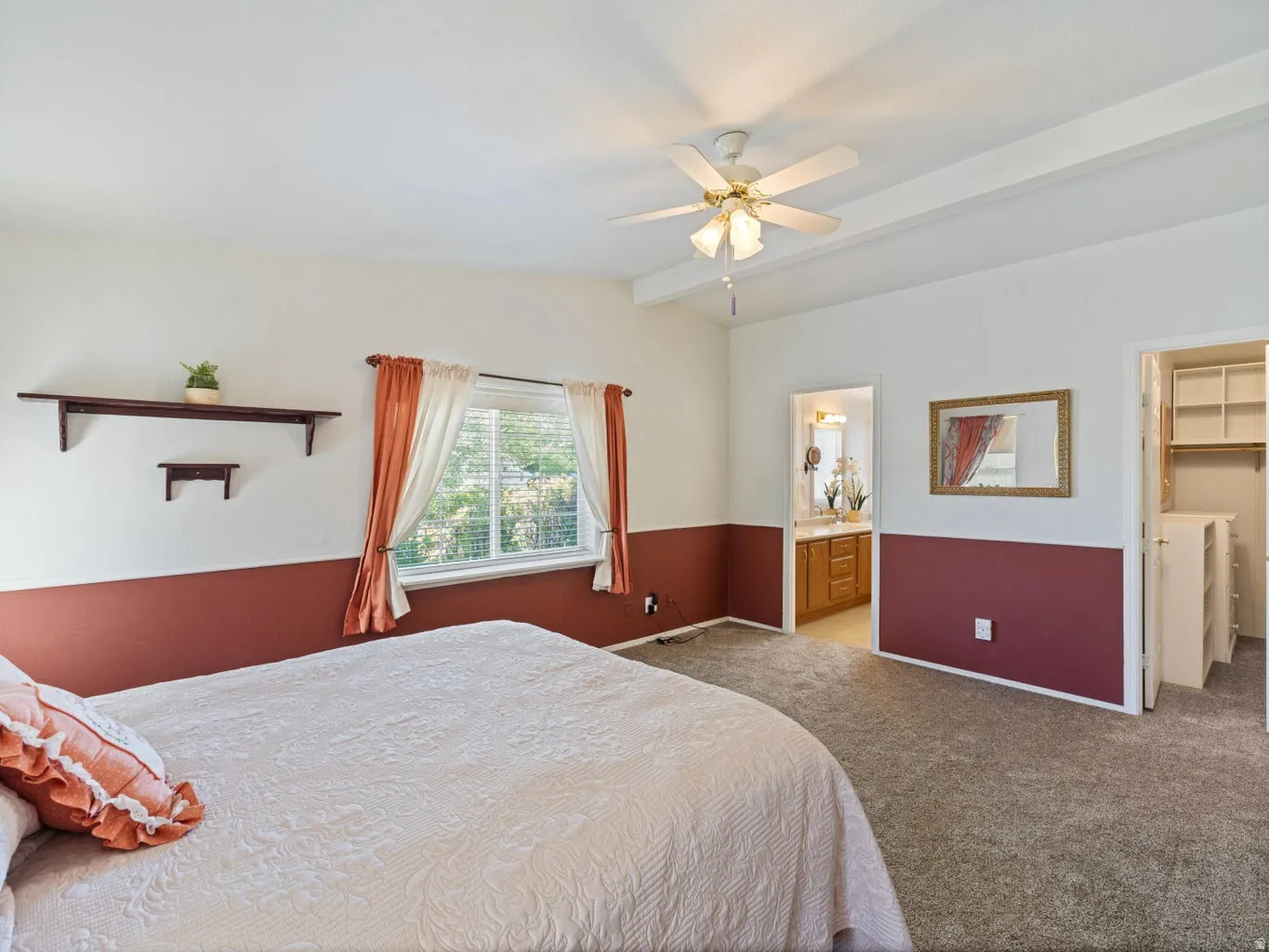 Carpeted room with a ceiling fan, a window with blinds, and two wall-mounted shelves