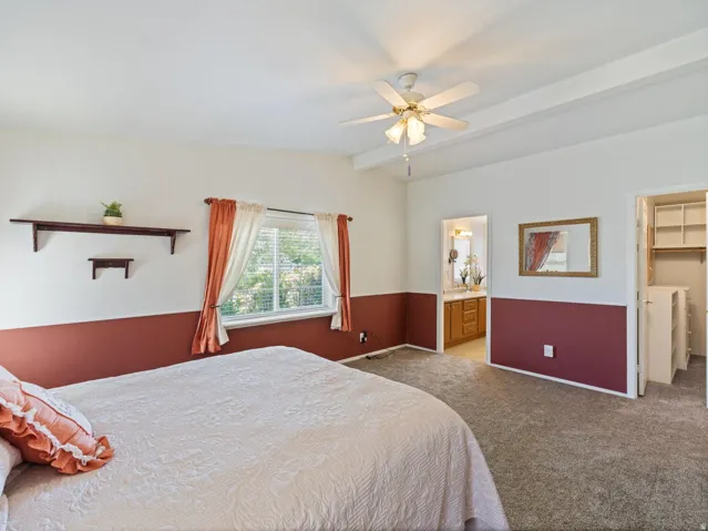 Carpeted room with a ceiling fan, a window with blinds, and two wall-mounted shelves