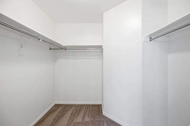 Walk-in closet with ample shelving, multiple hanging rods, and neutral-toned carpeting
