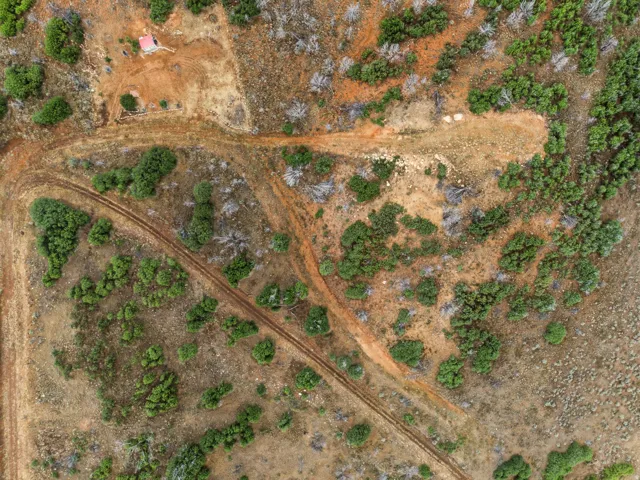 Expansive undeveloped land featuring natural foliage and visible terrain paths