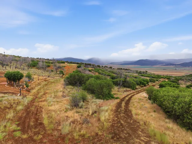 Expansive rural landscape featuring a dirt path, varied vegetation, and distant mountains under a blue sky