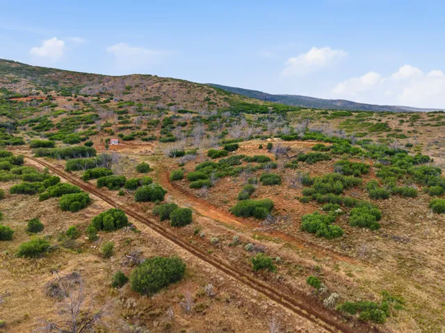 Expansive terrain featuring natural vegetation, a dirt path, and distant rolling hills under a blue sky