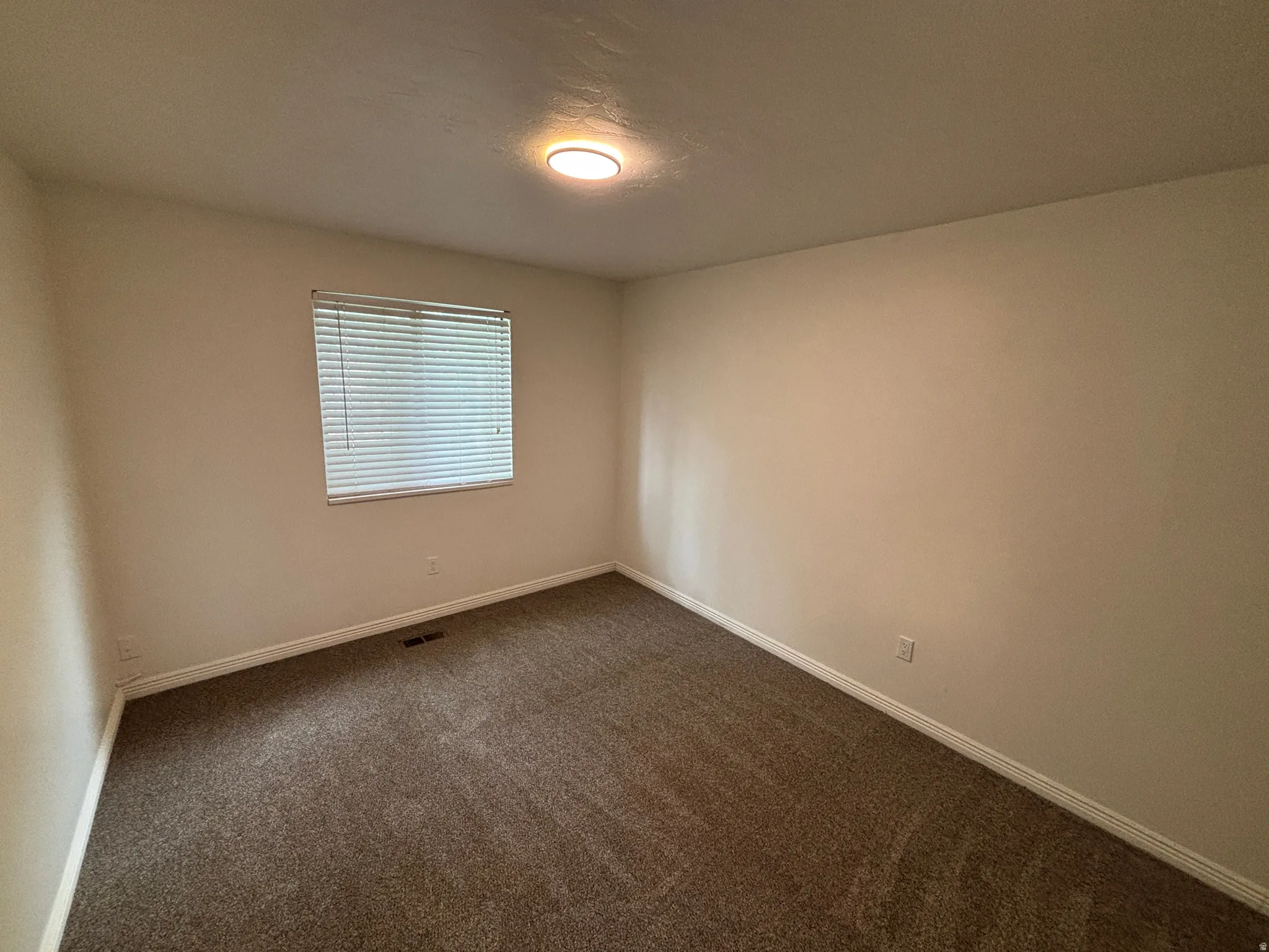Neutral-toned walls complement the brown carpet flooring and white baseboards