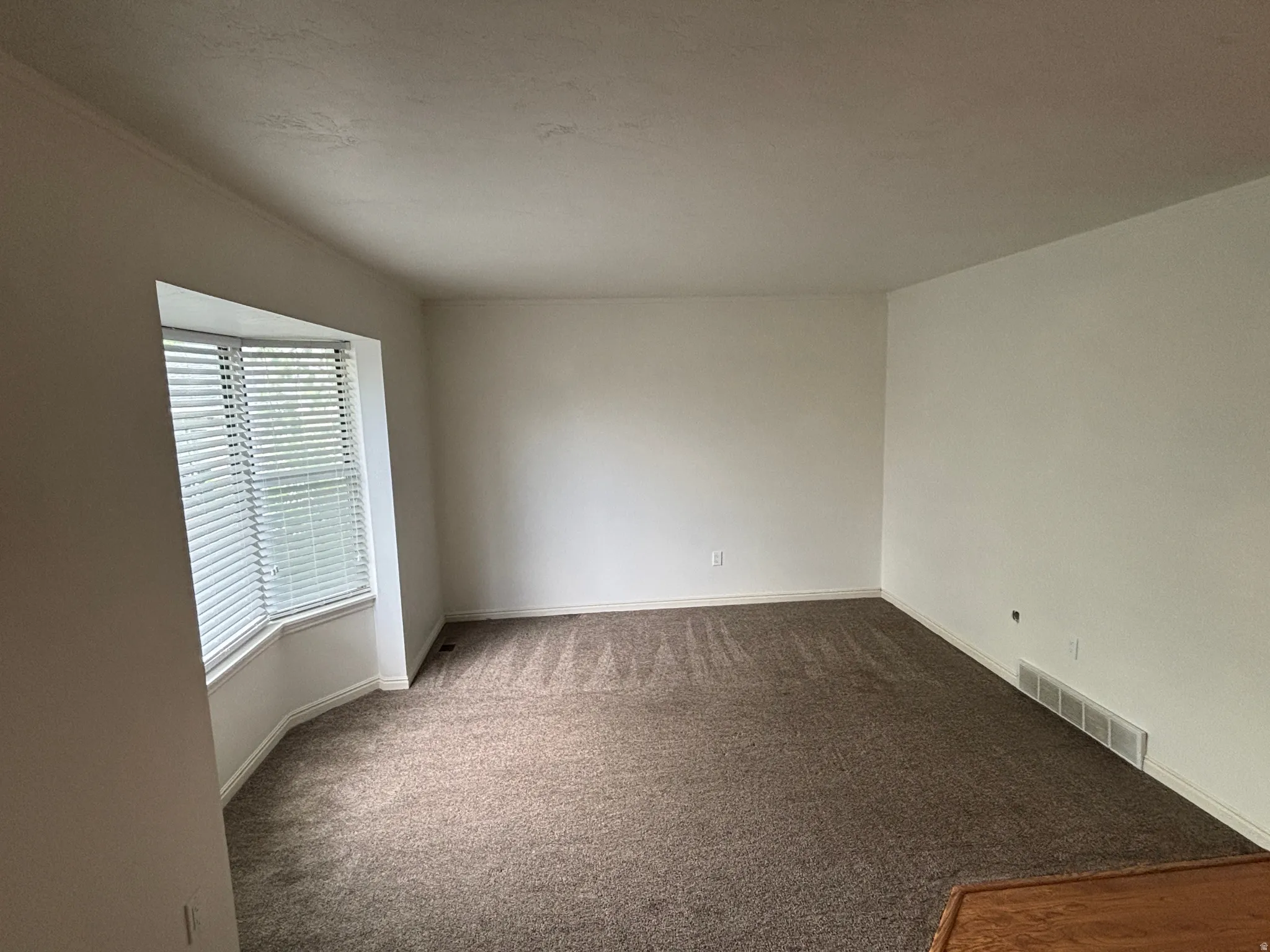 Bay window with horizontal blinds, neutral wall paint, and textured carpet flooring