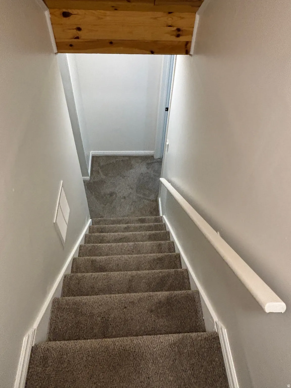 Carpeted staircase with light gray walls, white trim, and a white handrail