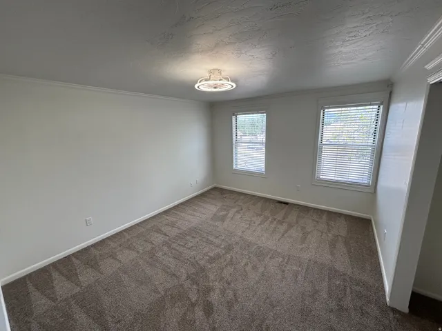 Carpeted room featuring two windows with horizontal blinds, white walls, and crown molding