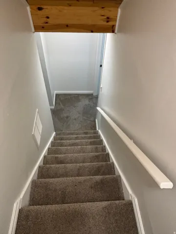 Carpeted staircase with light gray walls, white trim, and a white handrail
