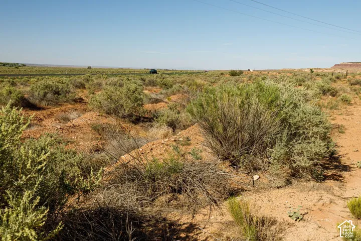 Expansive desert landscape featuring natural scrub brush and red earth, with a distant roadway and clear sky