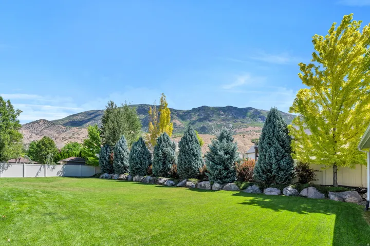 Expansive green lawn framed by a privacy fence and a row of evergreen trees